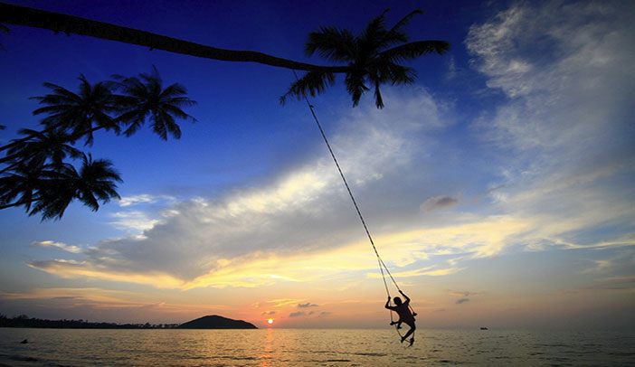 Beach Swing Palm Tree