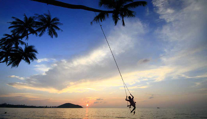 Child on a swing hanging from a palm tree
